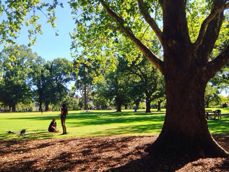 Carlton Gardens, Melbourne