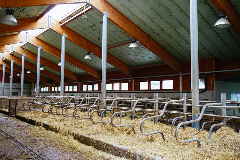 Agriturismo Rini, barn