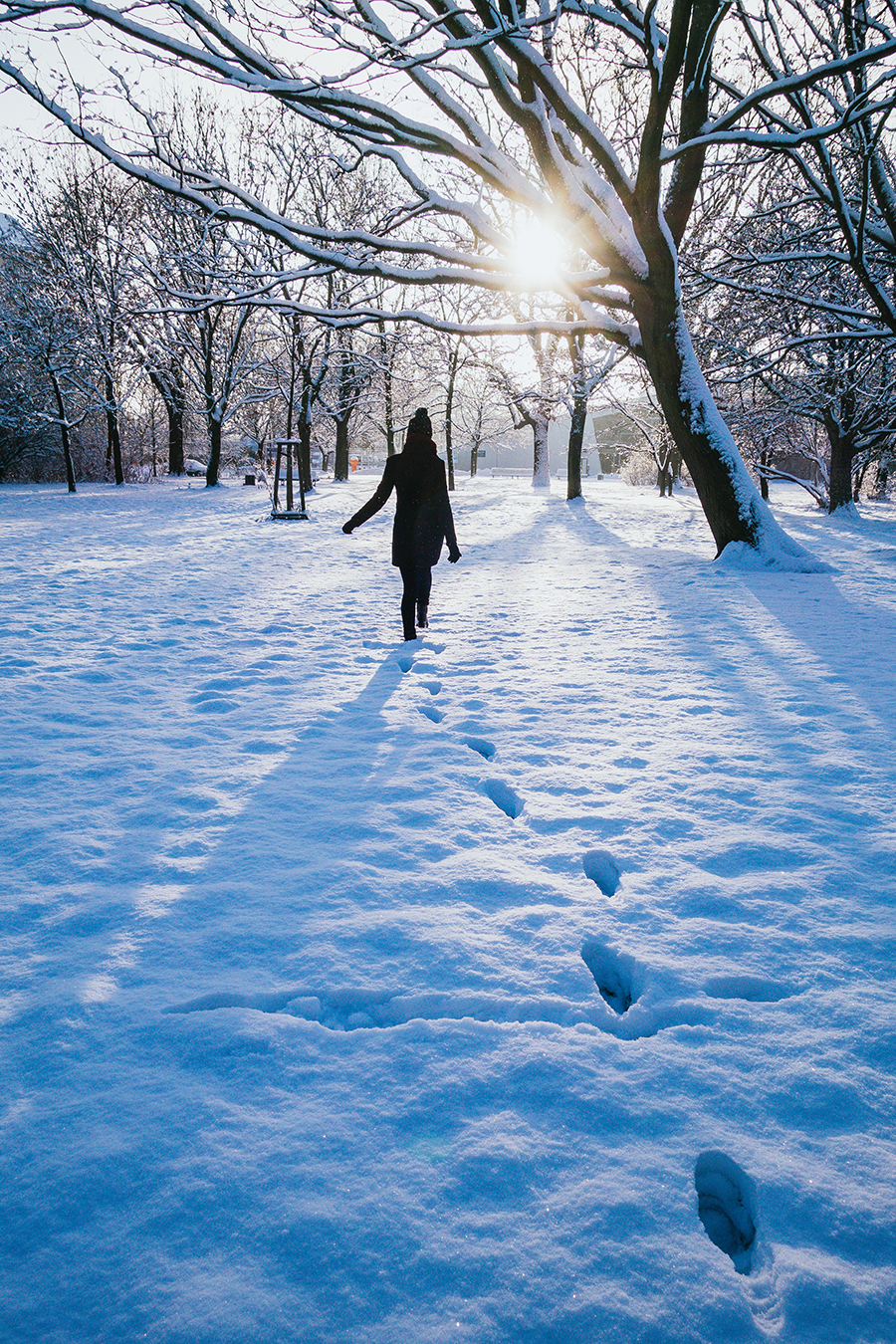 10 Quotes to Inspire a Love of Winter - The Department of ...