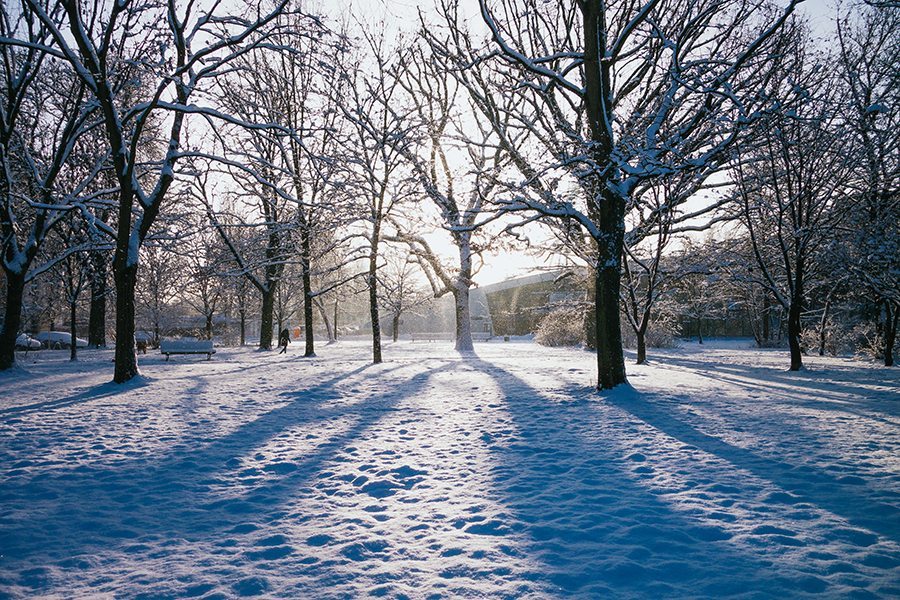 Berlin in the fresh snow