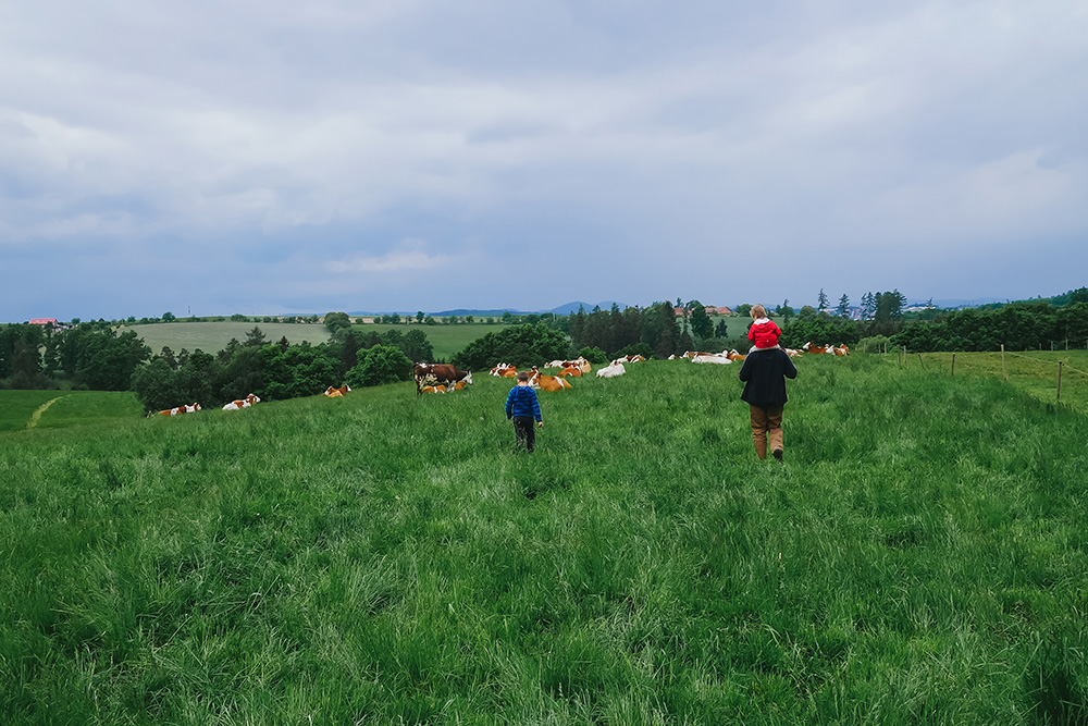 Bio Dairy Farm, Prague