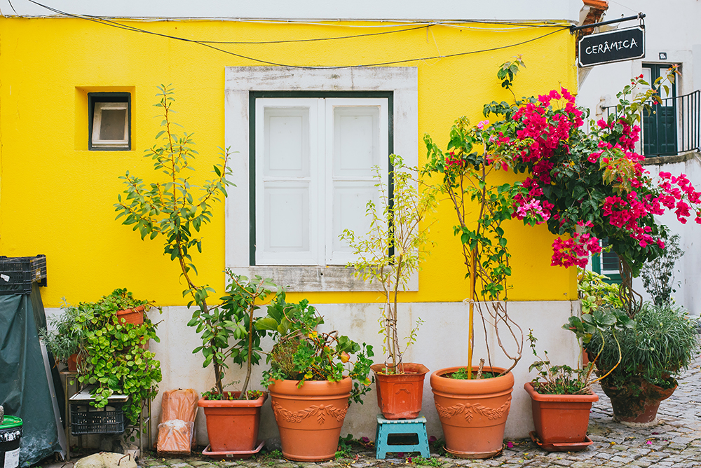 alfama_lisbon