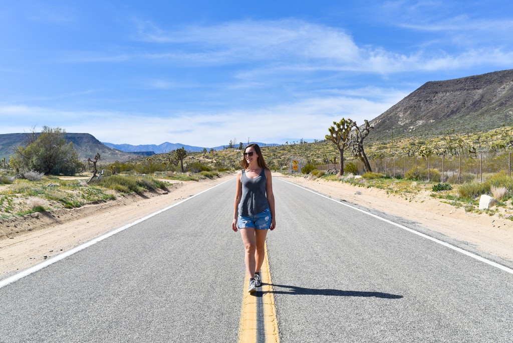 how_to_have_an_epic_weekend_at_joshua_tree_national_park