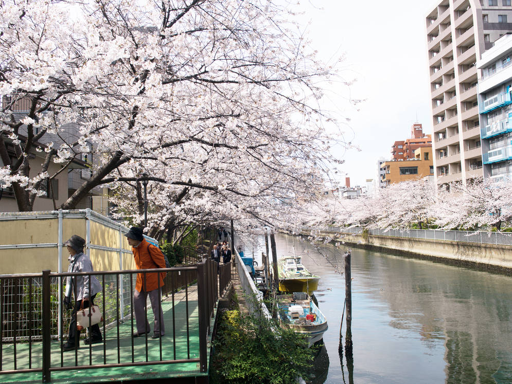 guide_to_tokyos_neighbourhoods_koto