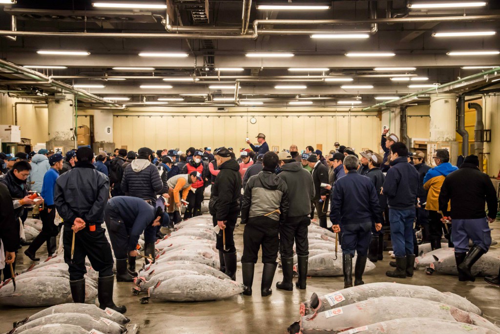 guide_to_the_tsukiji_fish_market