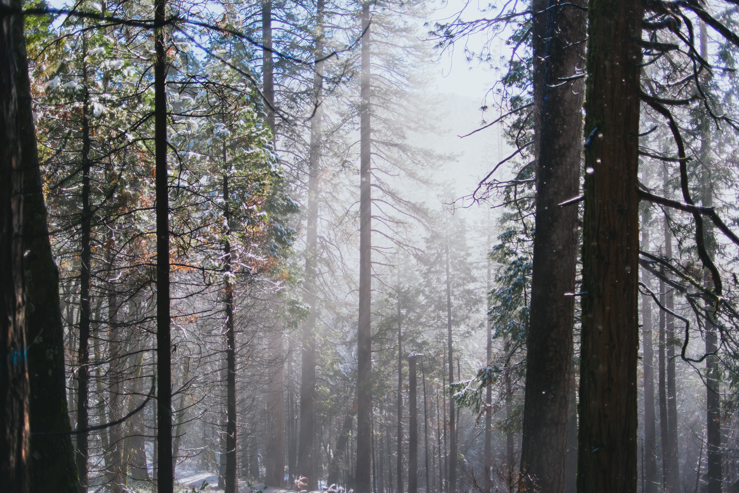 yosemite