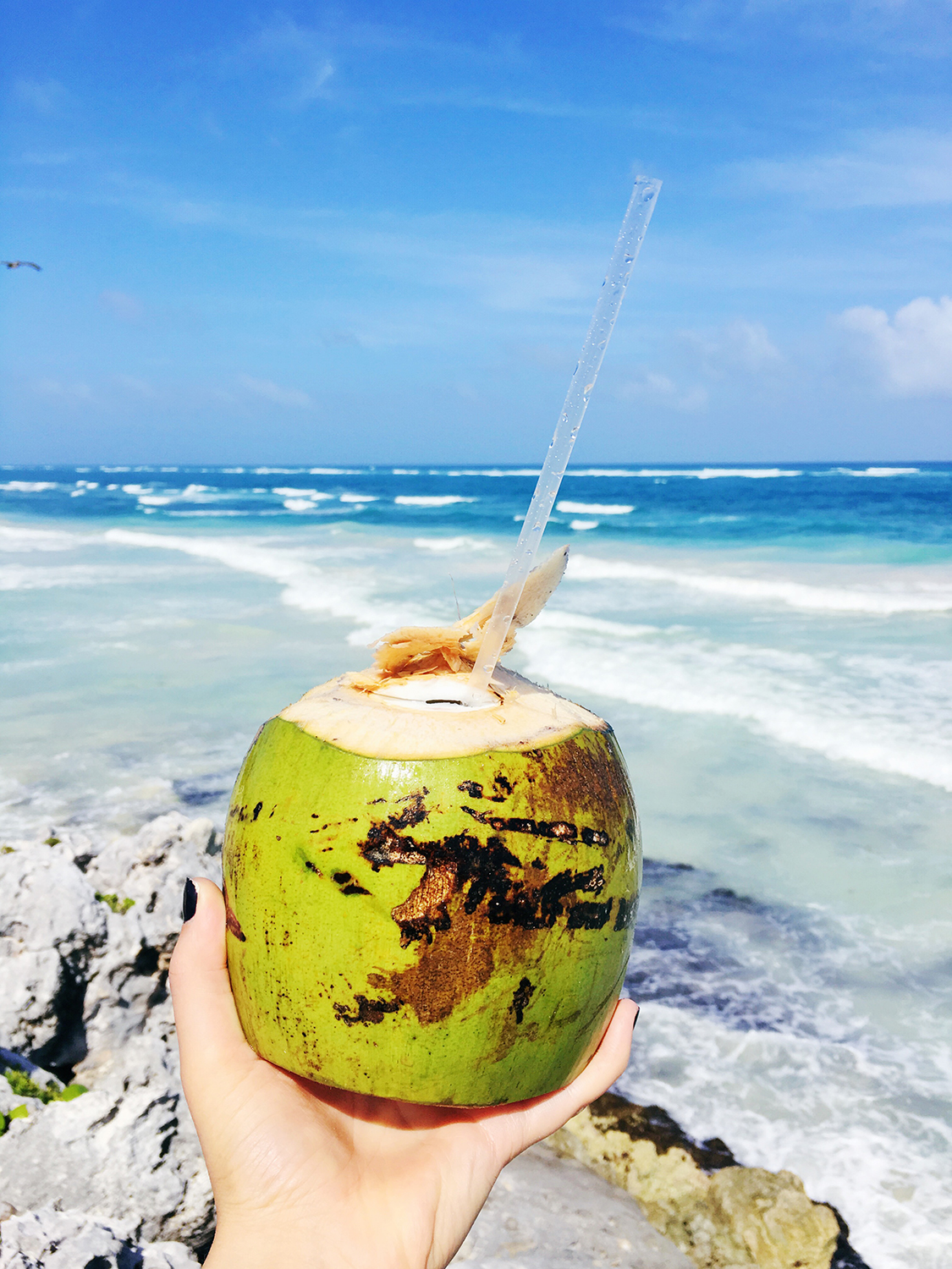 coconut_tulum