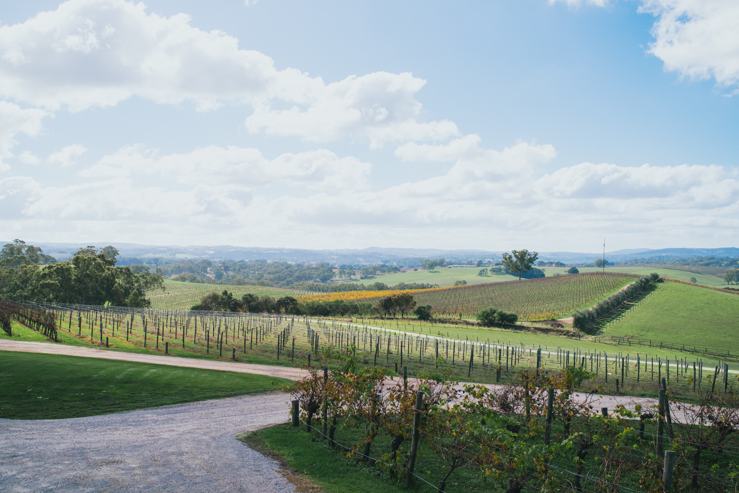 The Lane Vineyard, Adelaide Hills