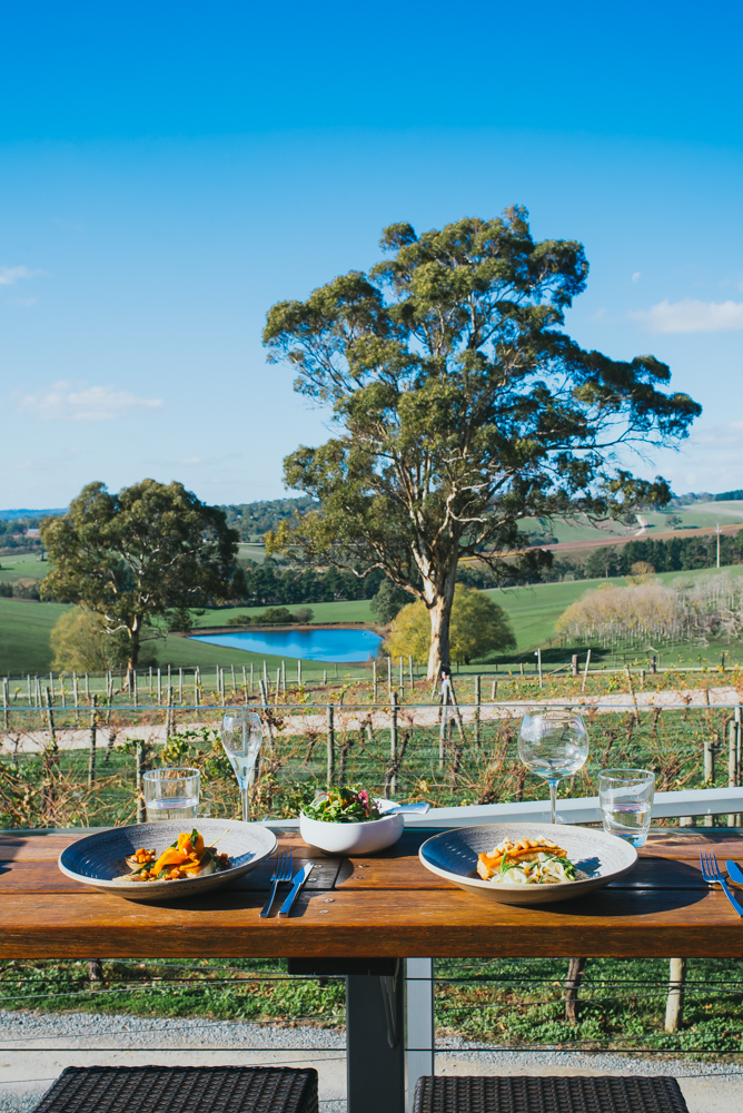 The Lane Vineyard, Adelaide Hills