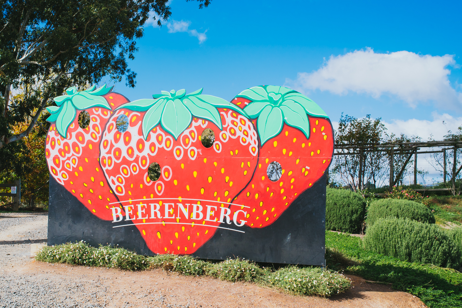 beerenberg farm, adelaide hills