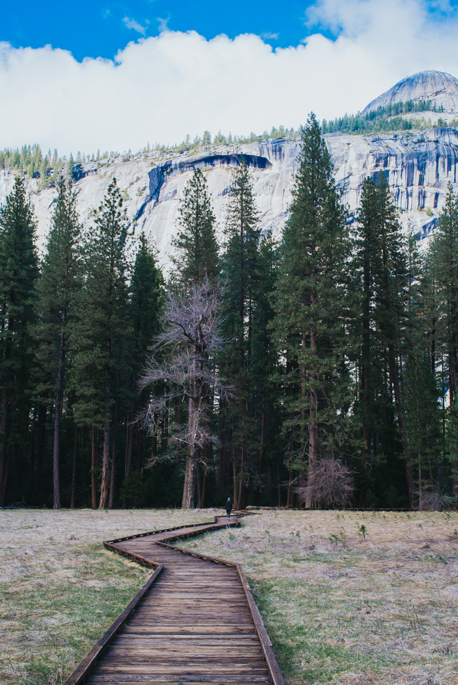 Weekend in Yosemite, Stoneman's Meadow