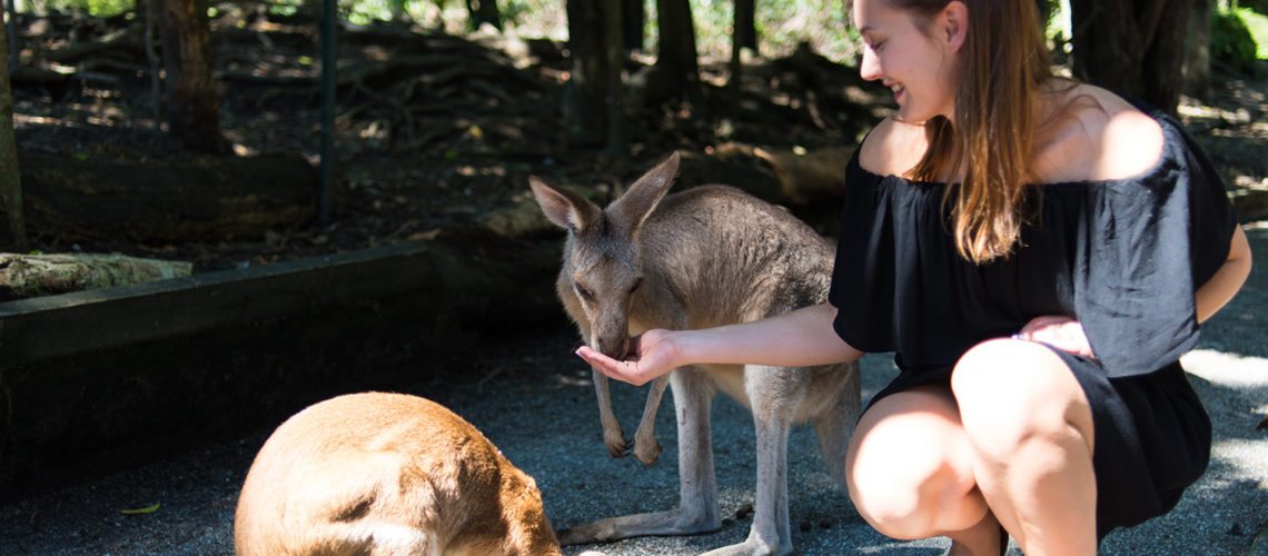 72 Hours in Port Douglas, Wildlife Habitat