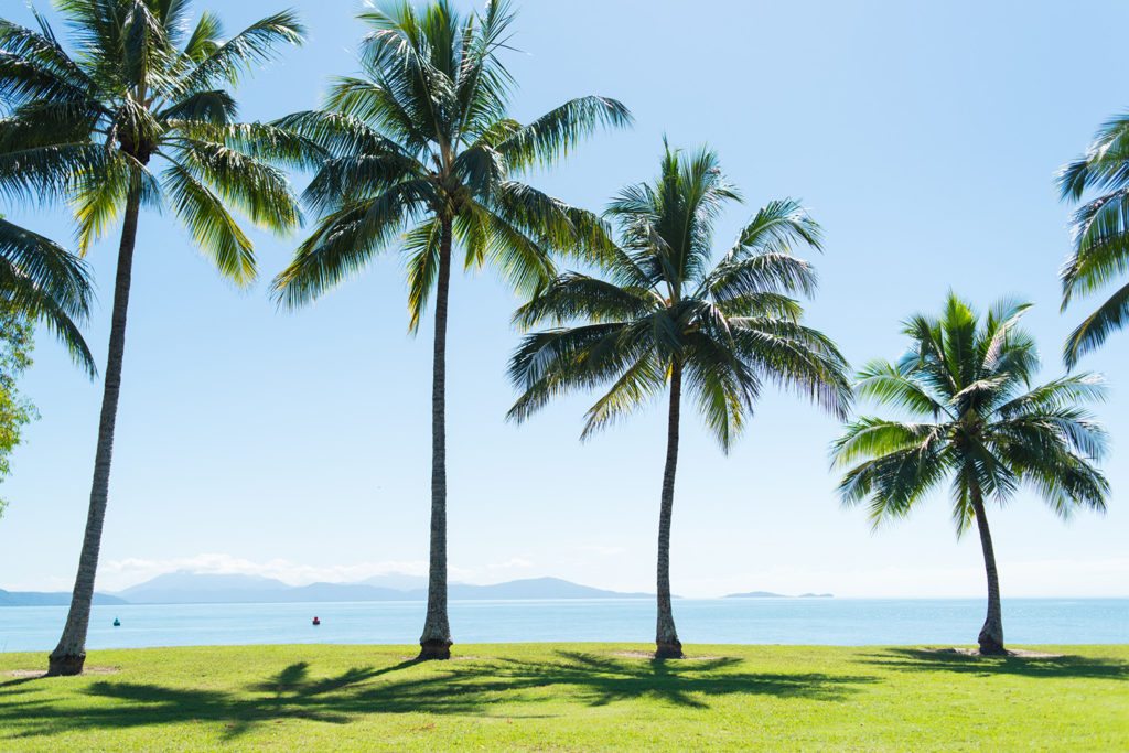 72 Hours in Port Douglas, Rex Smeal Park