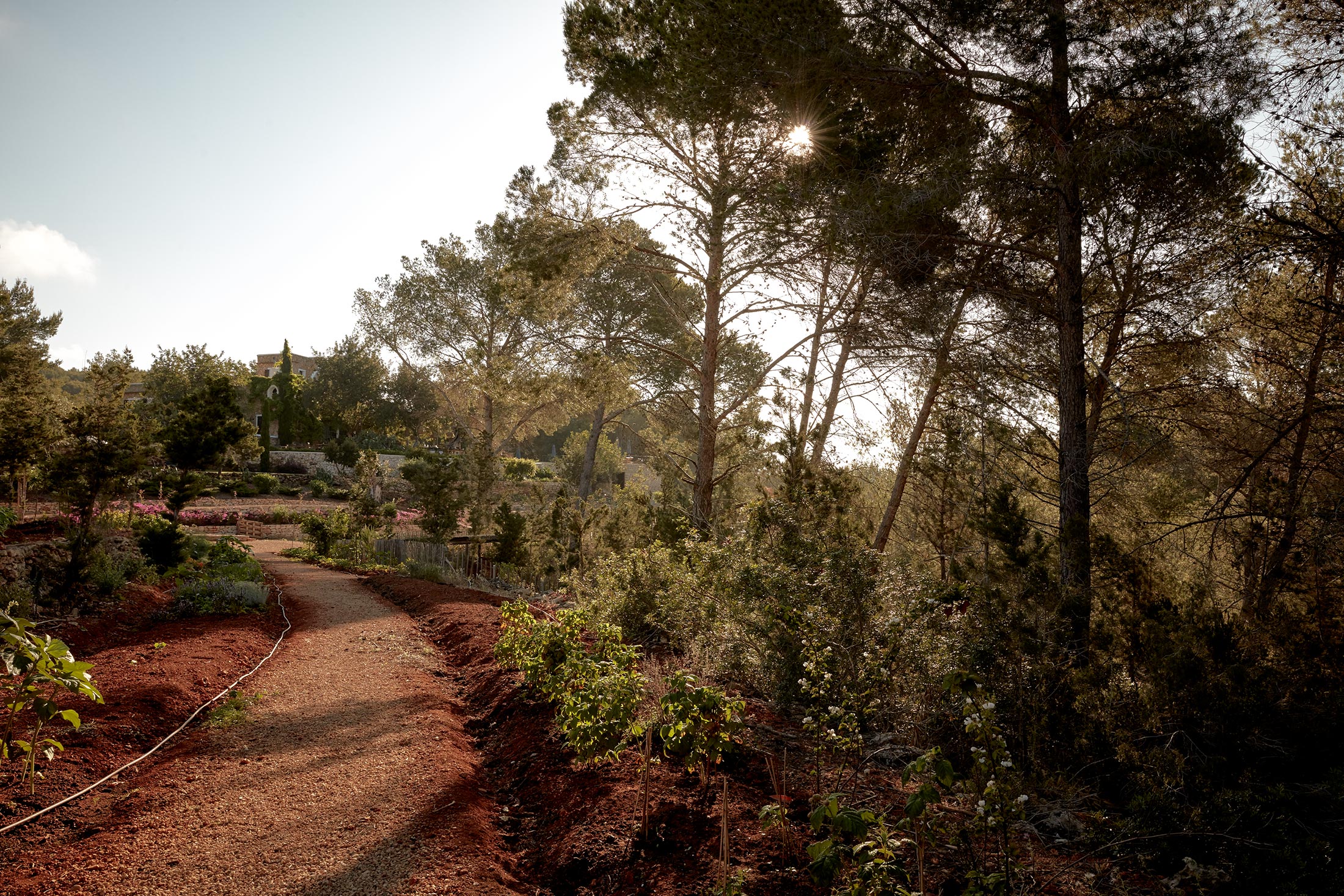 La Ganja, Ibiza, Grounds