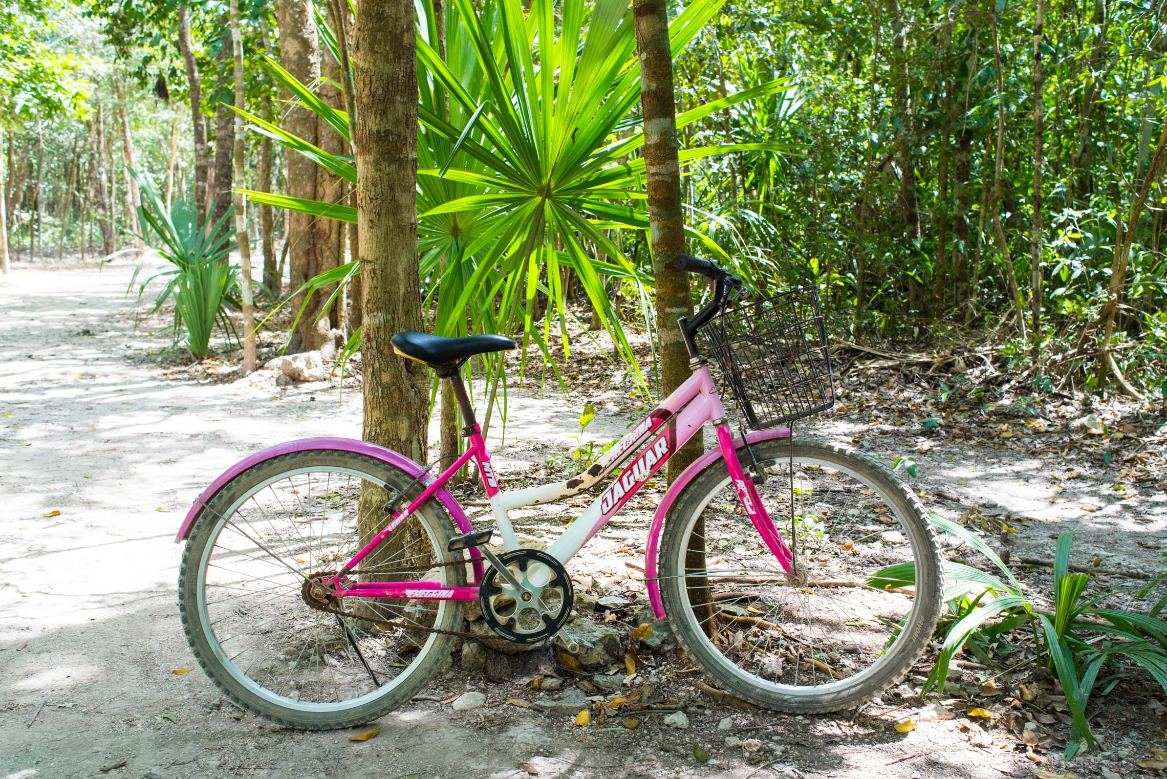 Coba, Bicycle Rental