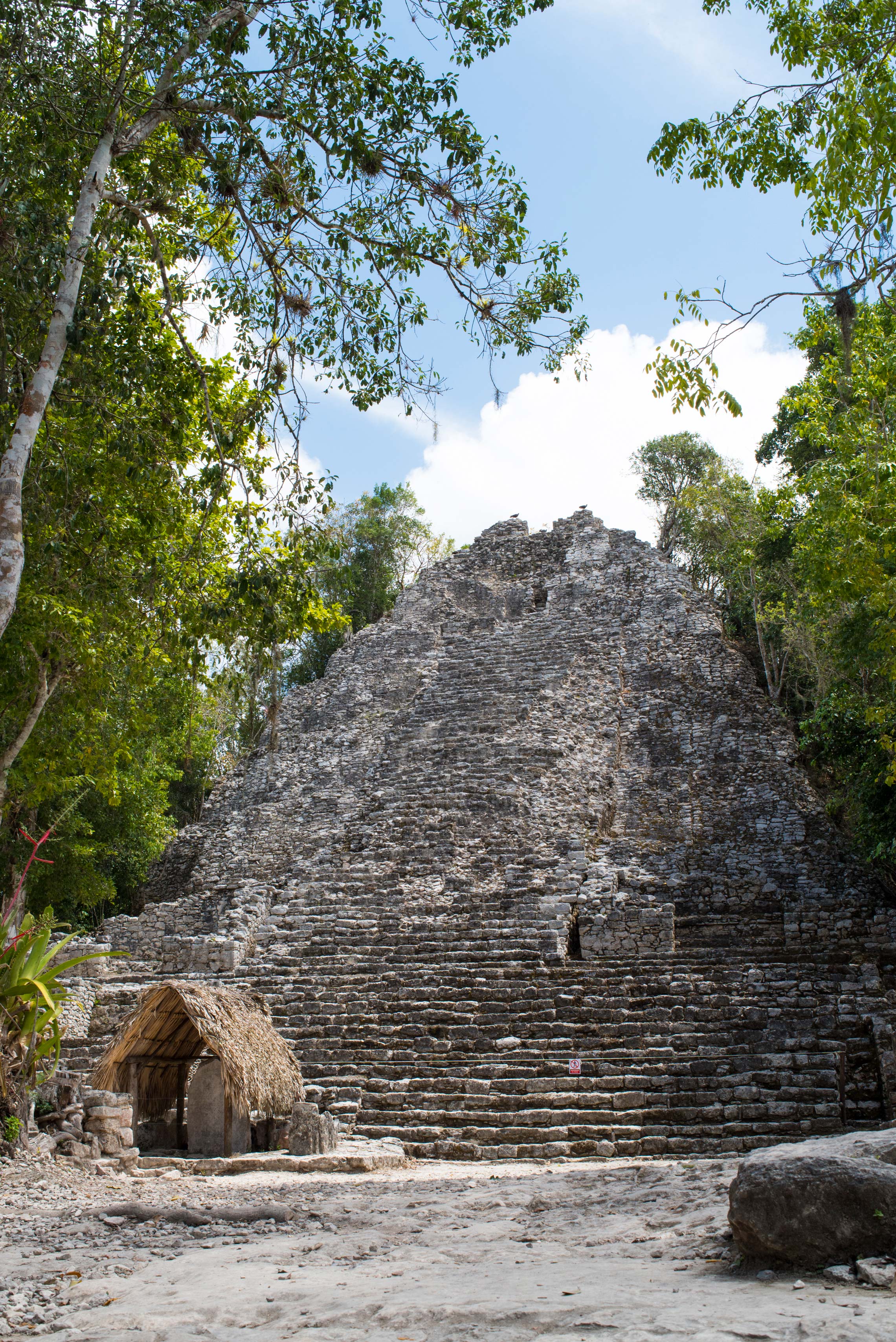 Coba Pyramid, Mexico