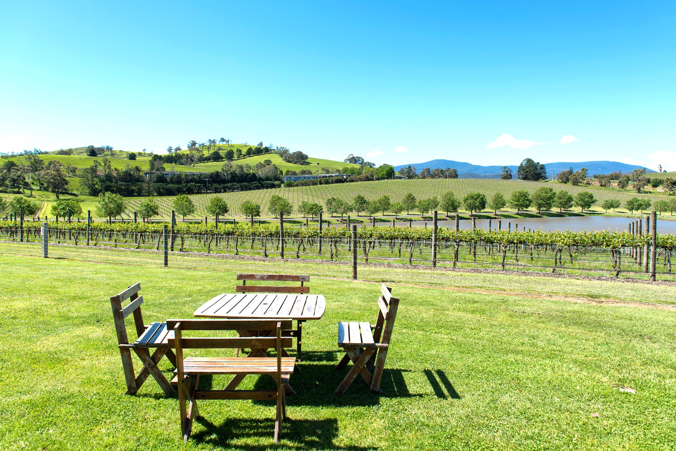 Yarra Valley, Yarrawood Estate View