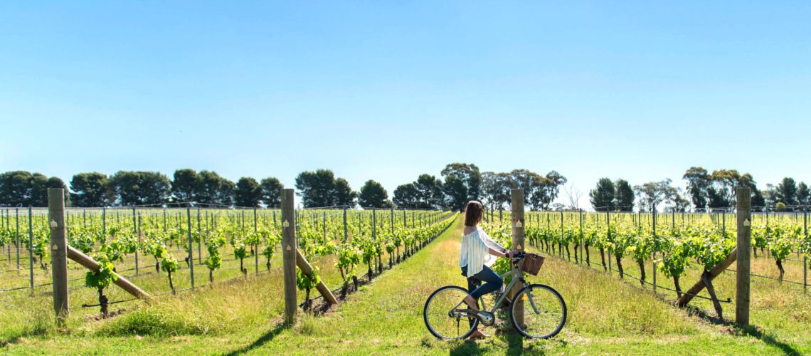 Rutherglen, Pedal to Produce, Wine Cycle