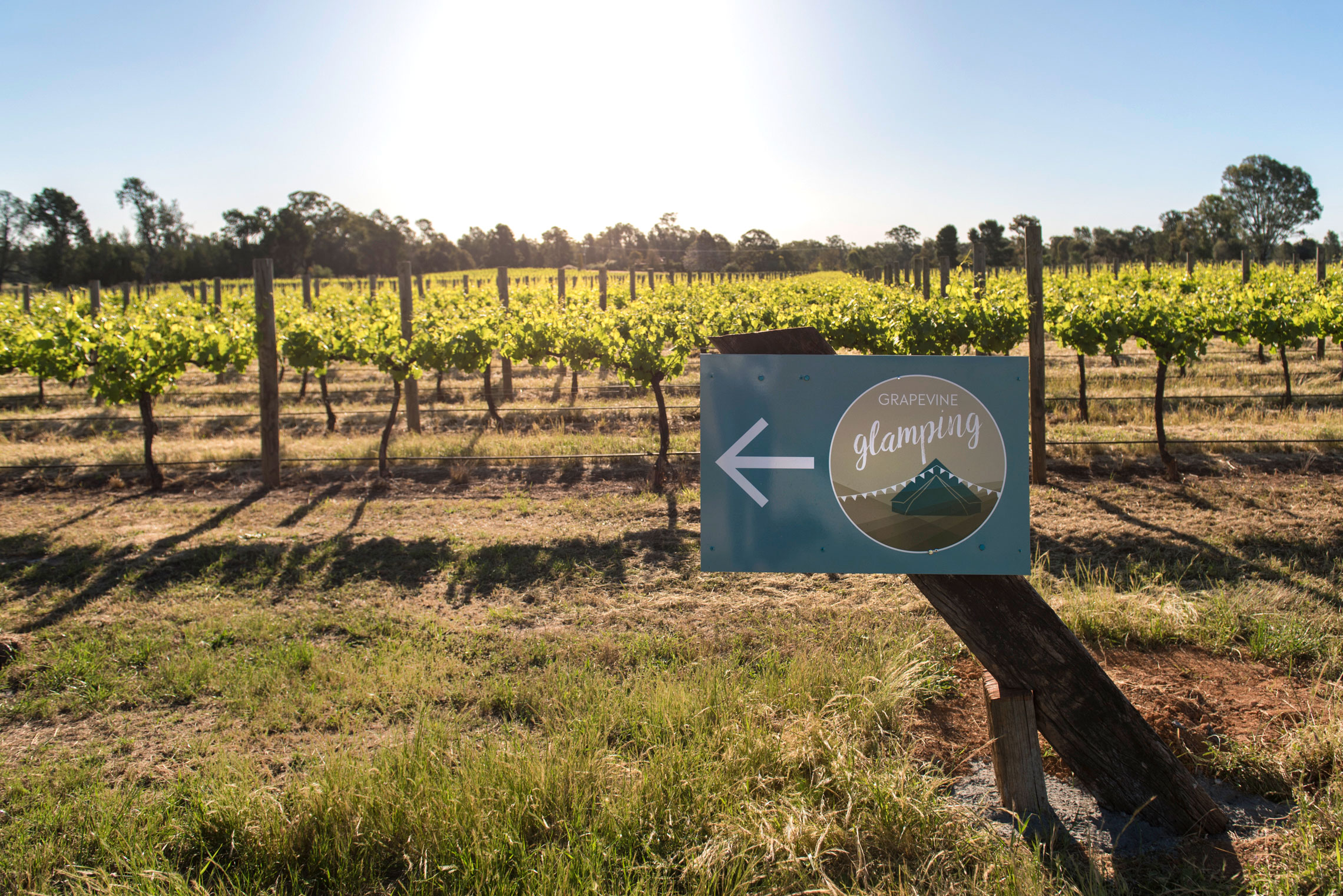 Grapevine Glamping, Cofield Wines, Rutherglen