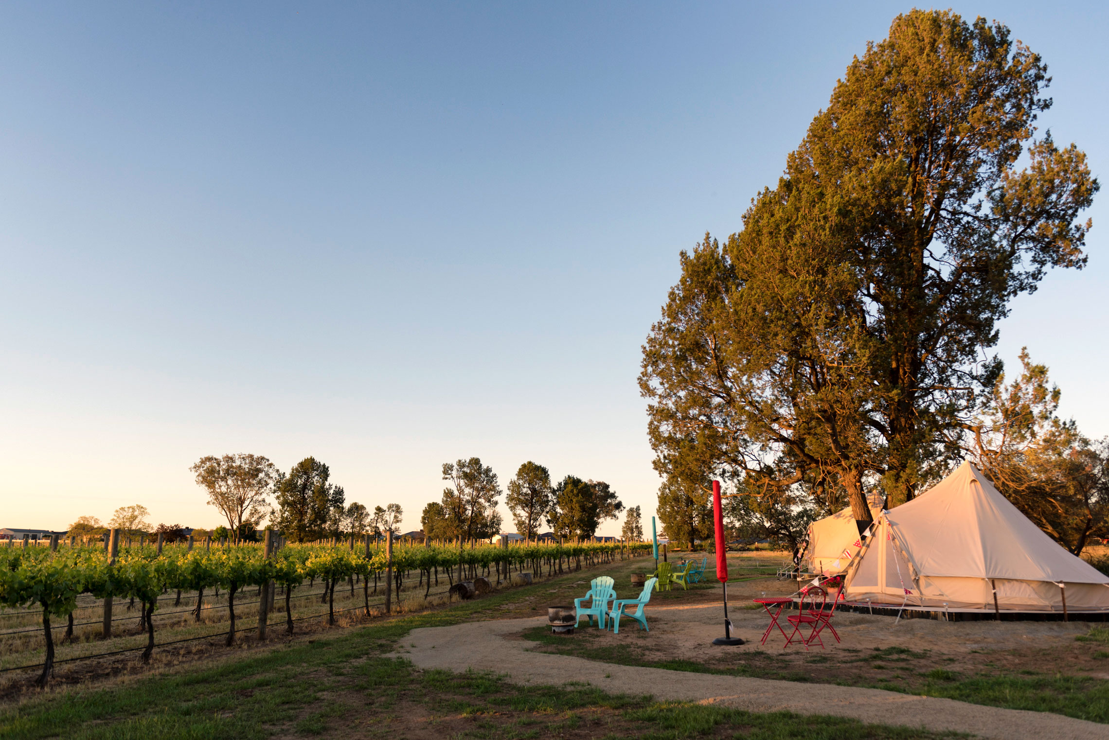 Grapevine Glamping, Cofield Wines, Rutherglen