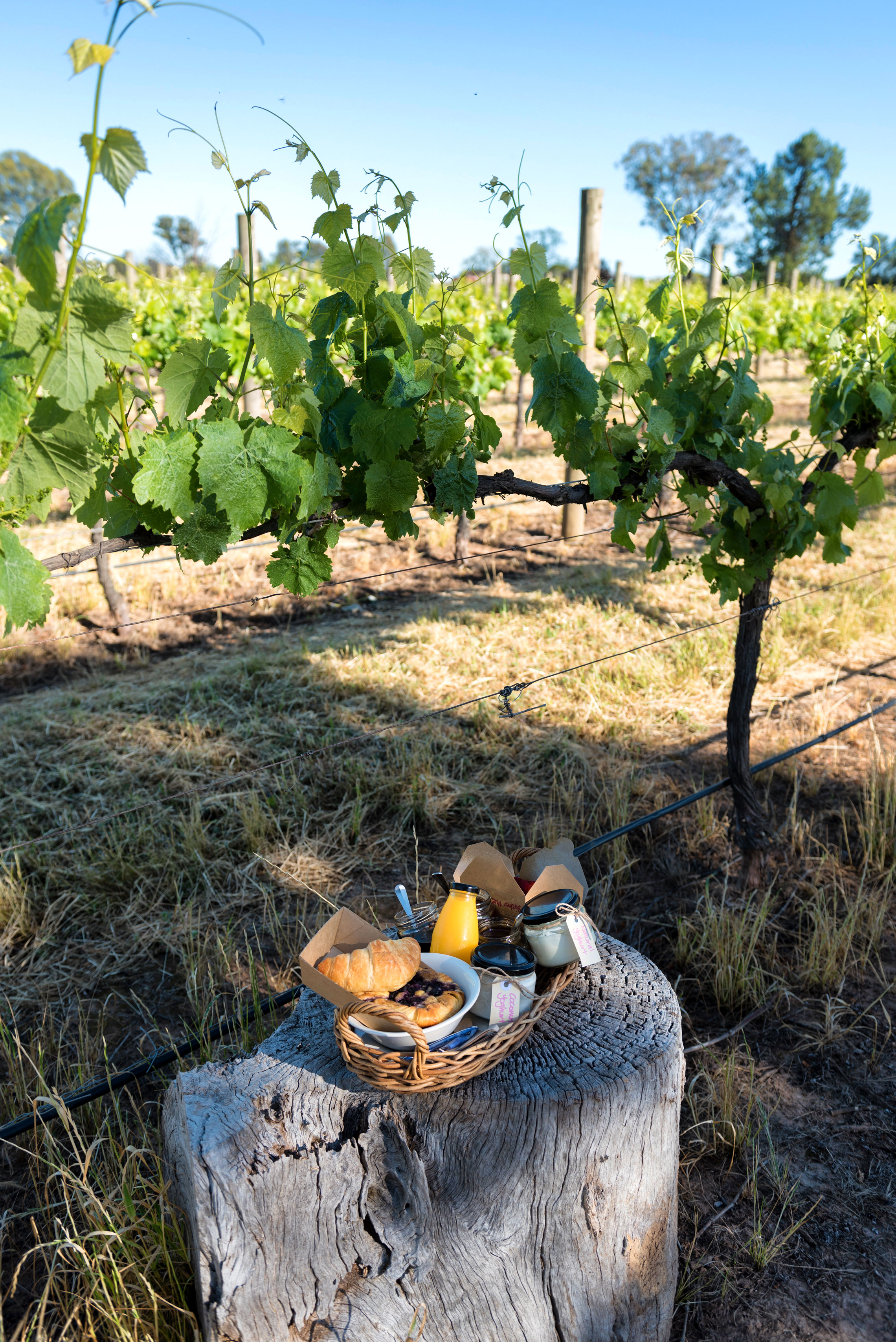 Grapevine Glamping, Rutherglen, Breakfast Hamper by The Pickled Sisters