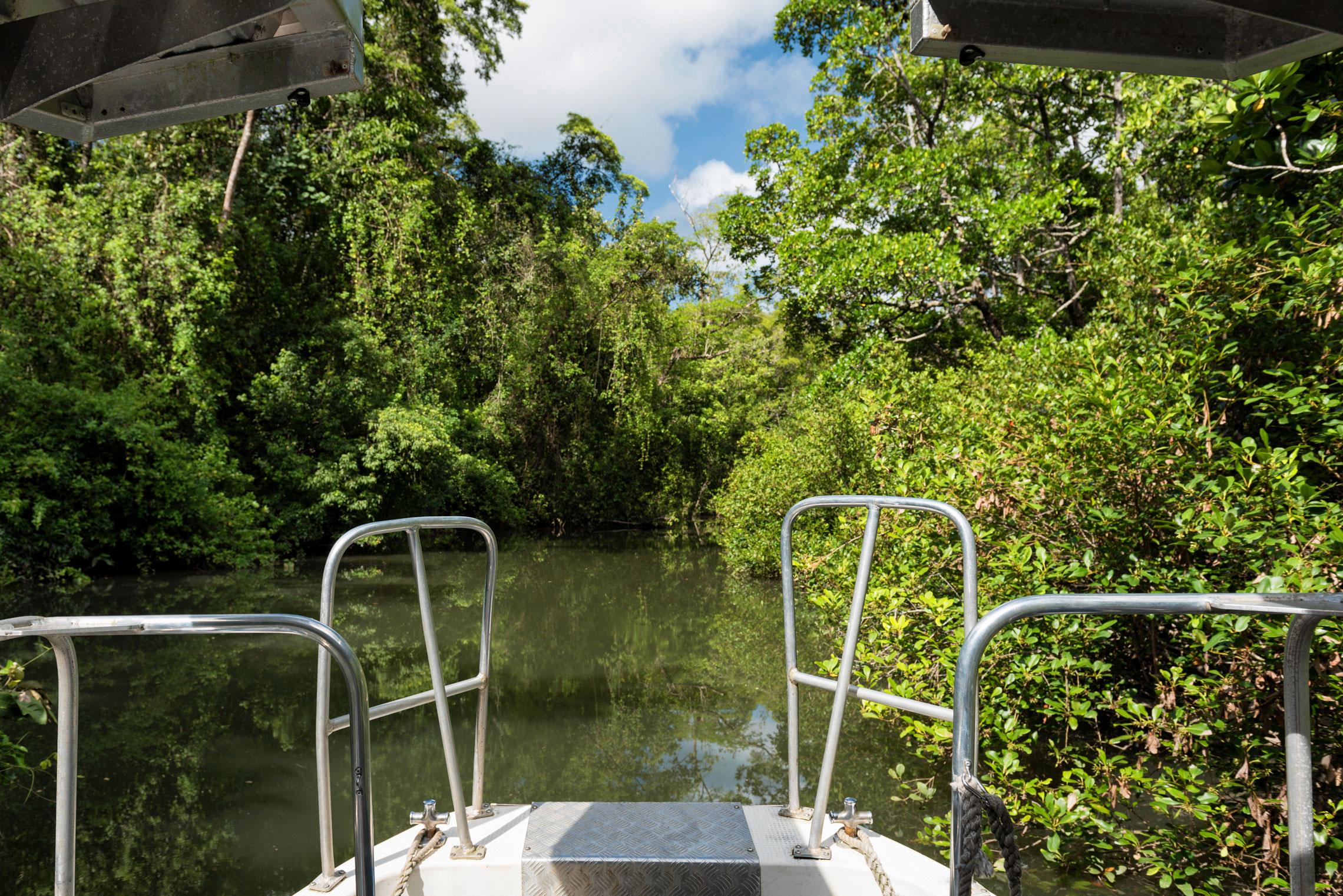 Solar Whisper Daintree River Cruise, Far North Queensland