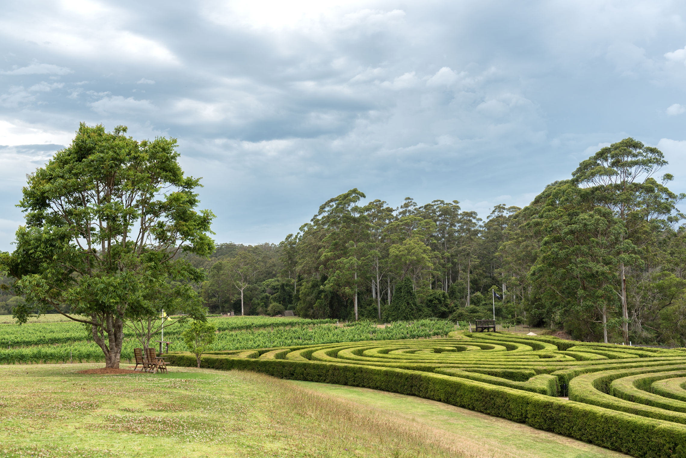 Port Macquarie, Bago Vineyards 