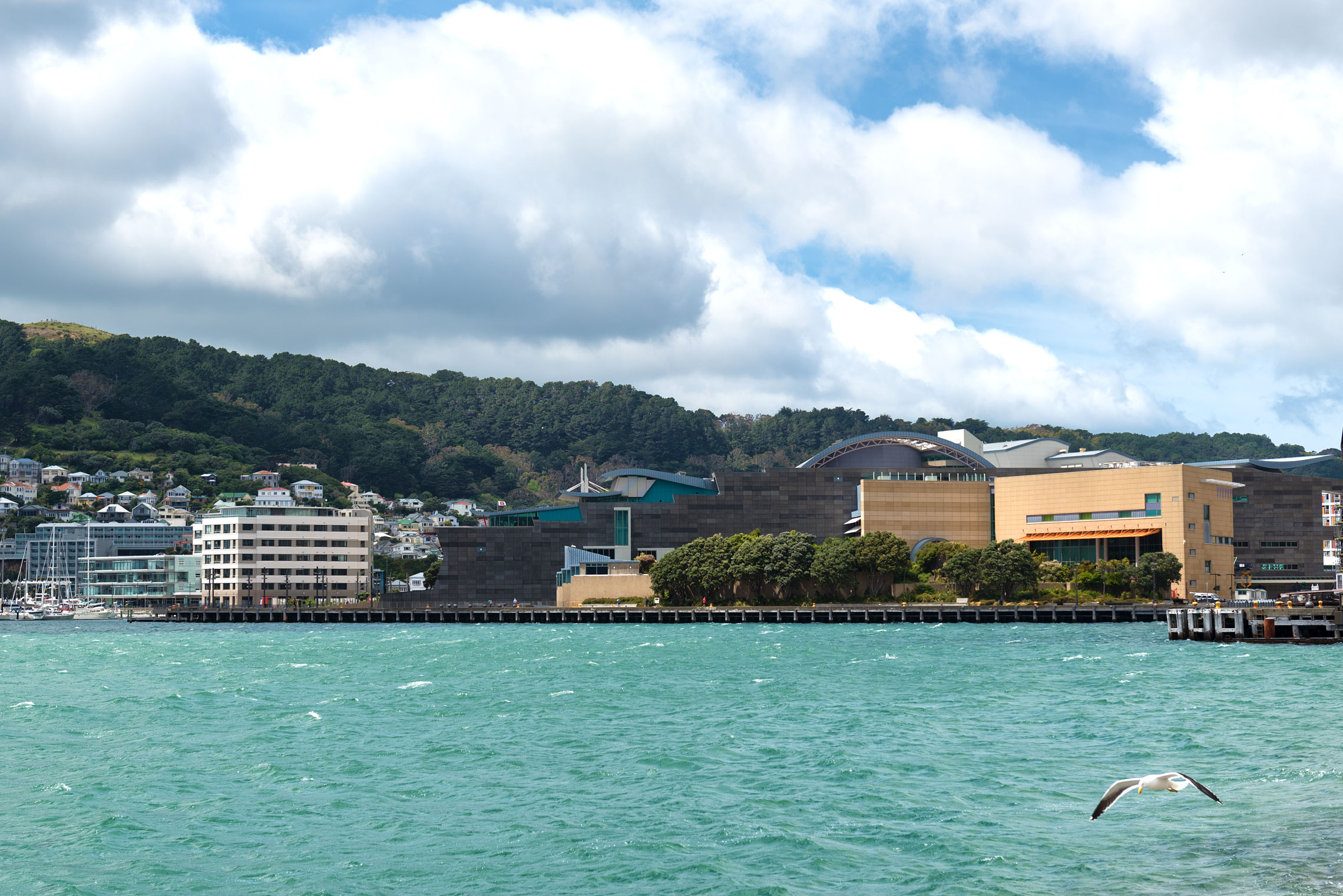 Te Papa, Wellington