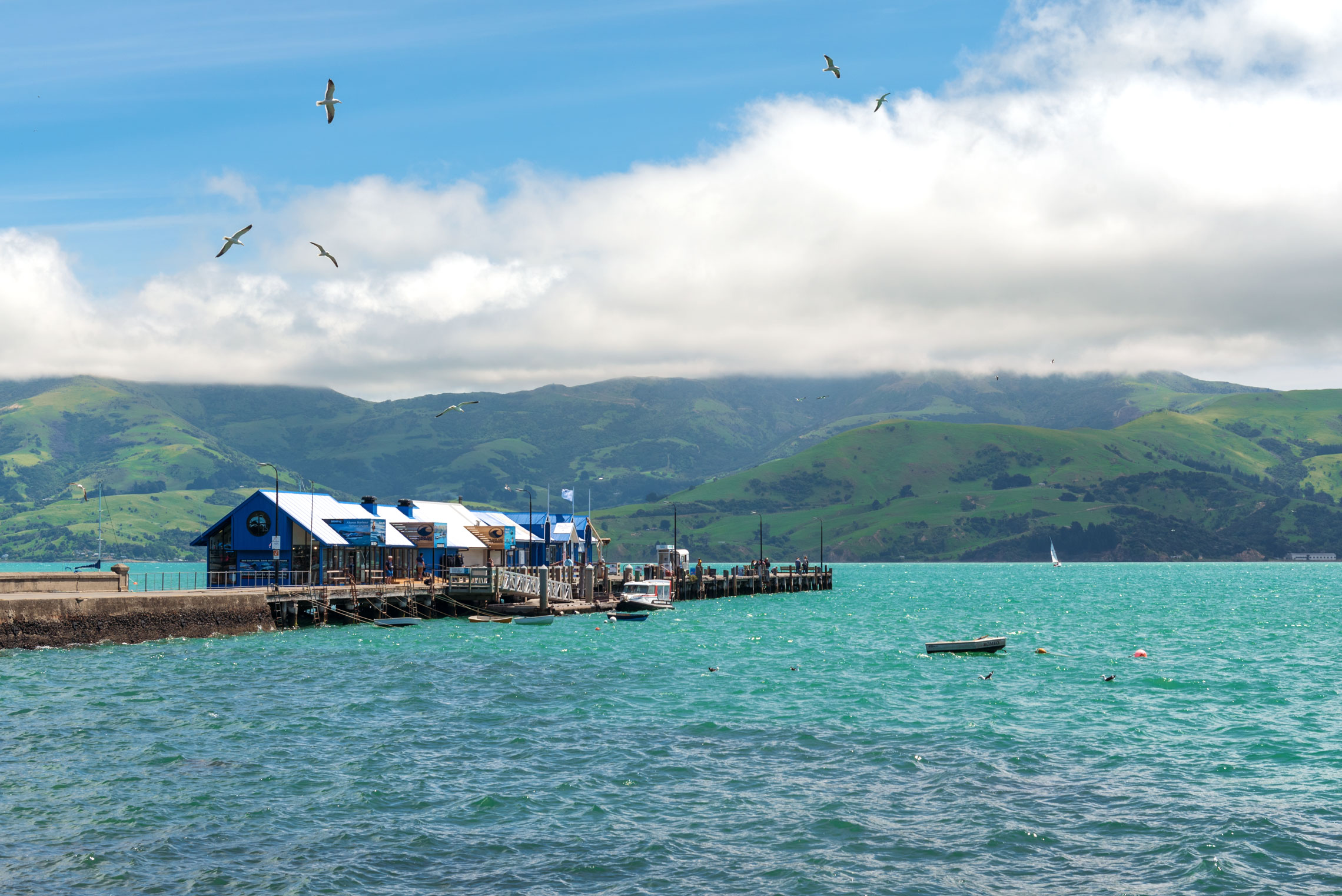 Akaroa Harbour, Akaroa, New Zealand