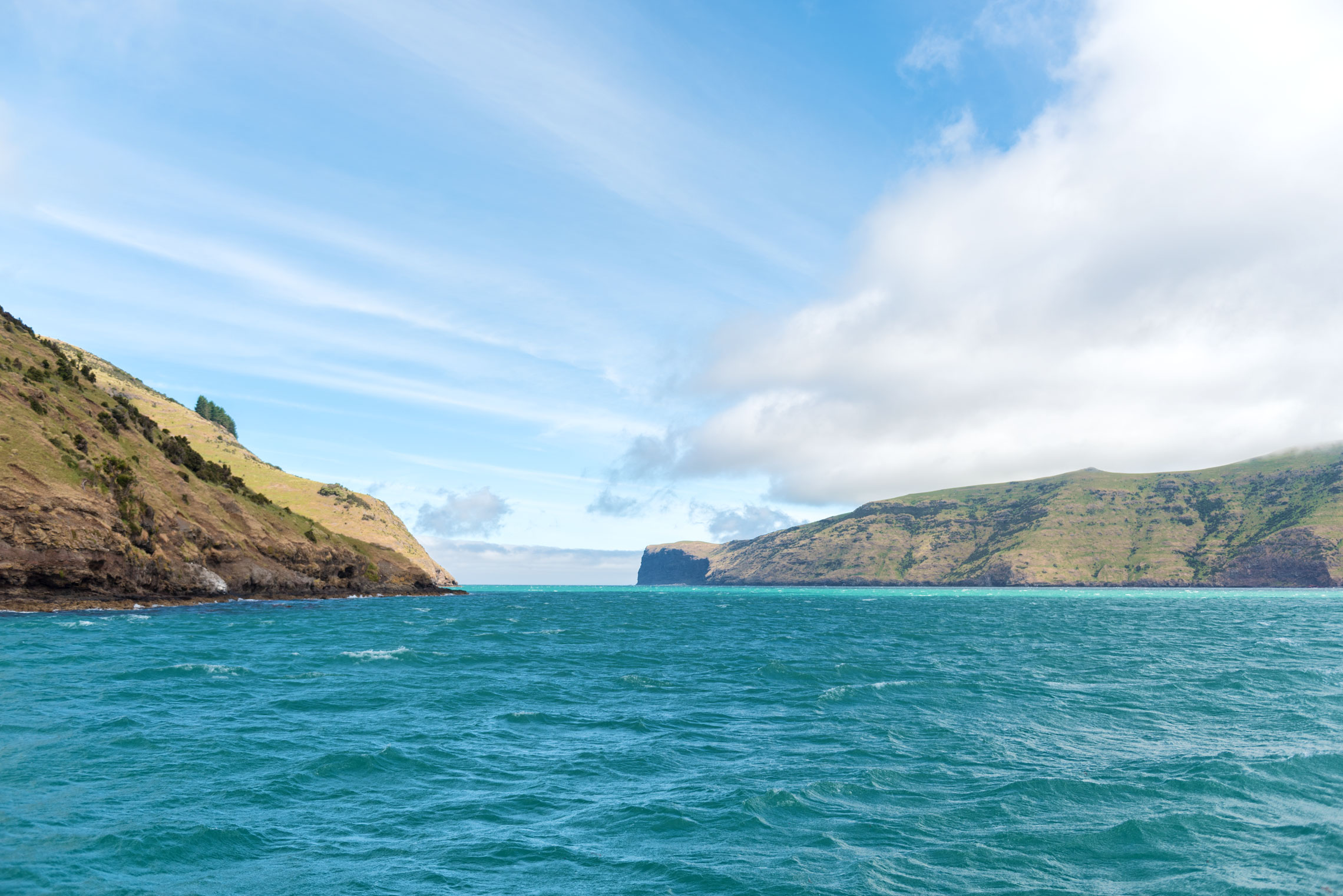 Banks Peninsula, Akaroa, Akaroa Dolphins Cruise