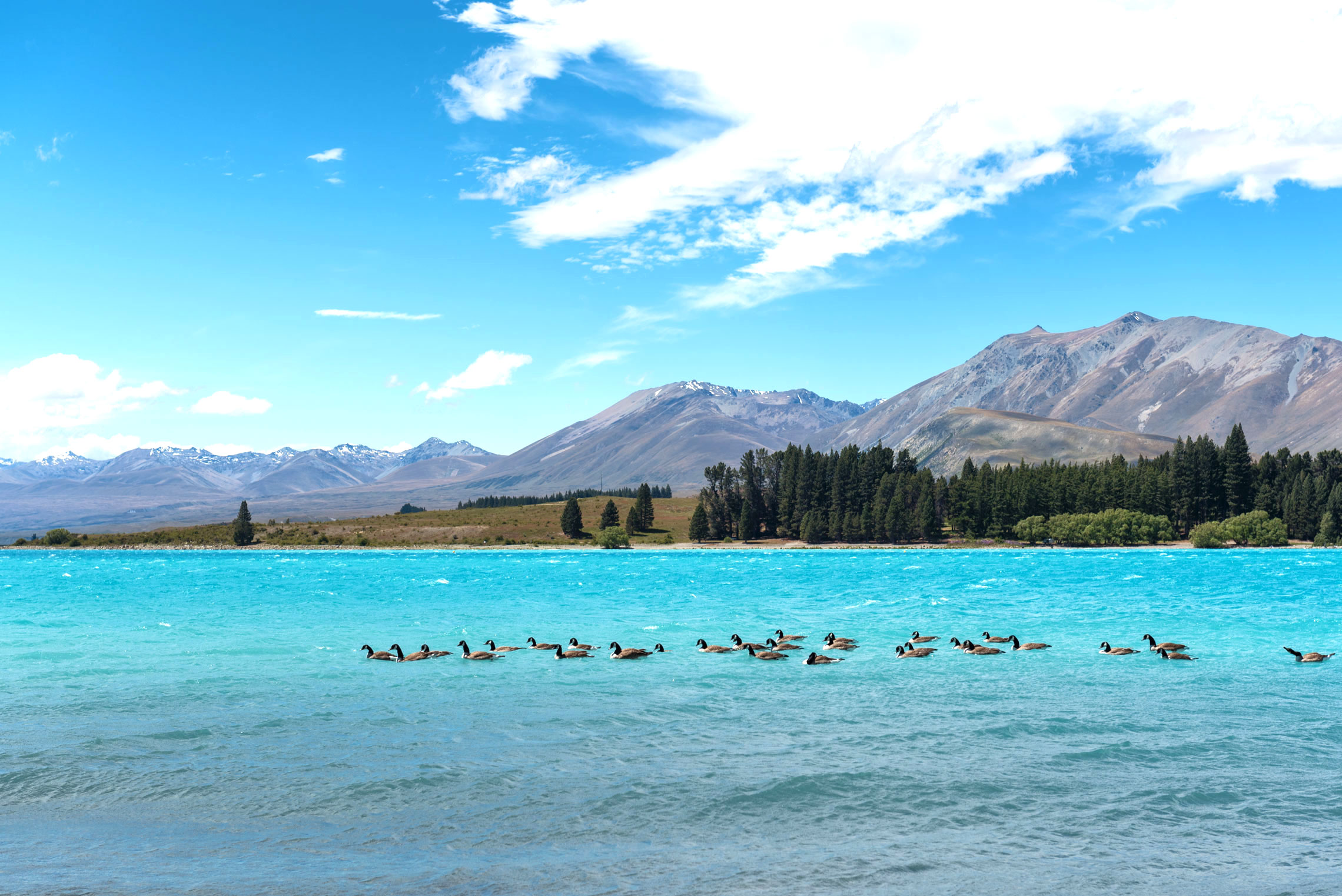 Lake Tekapo, New Zealand