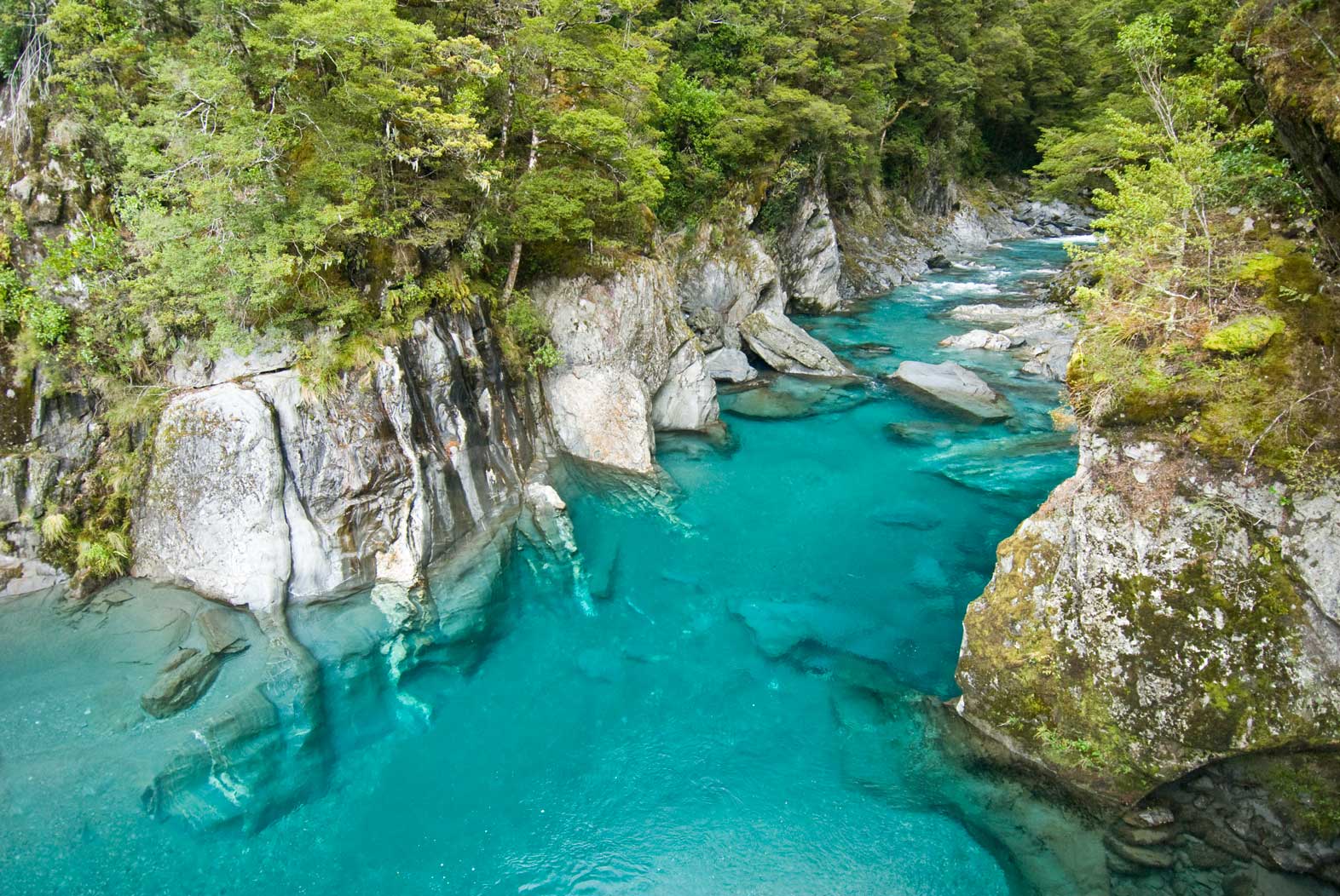 Most Scenic Roads in New Zealand, Haast Pass