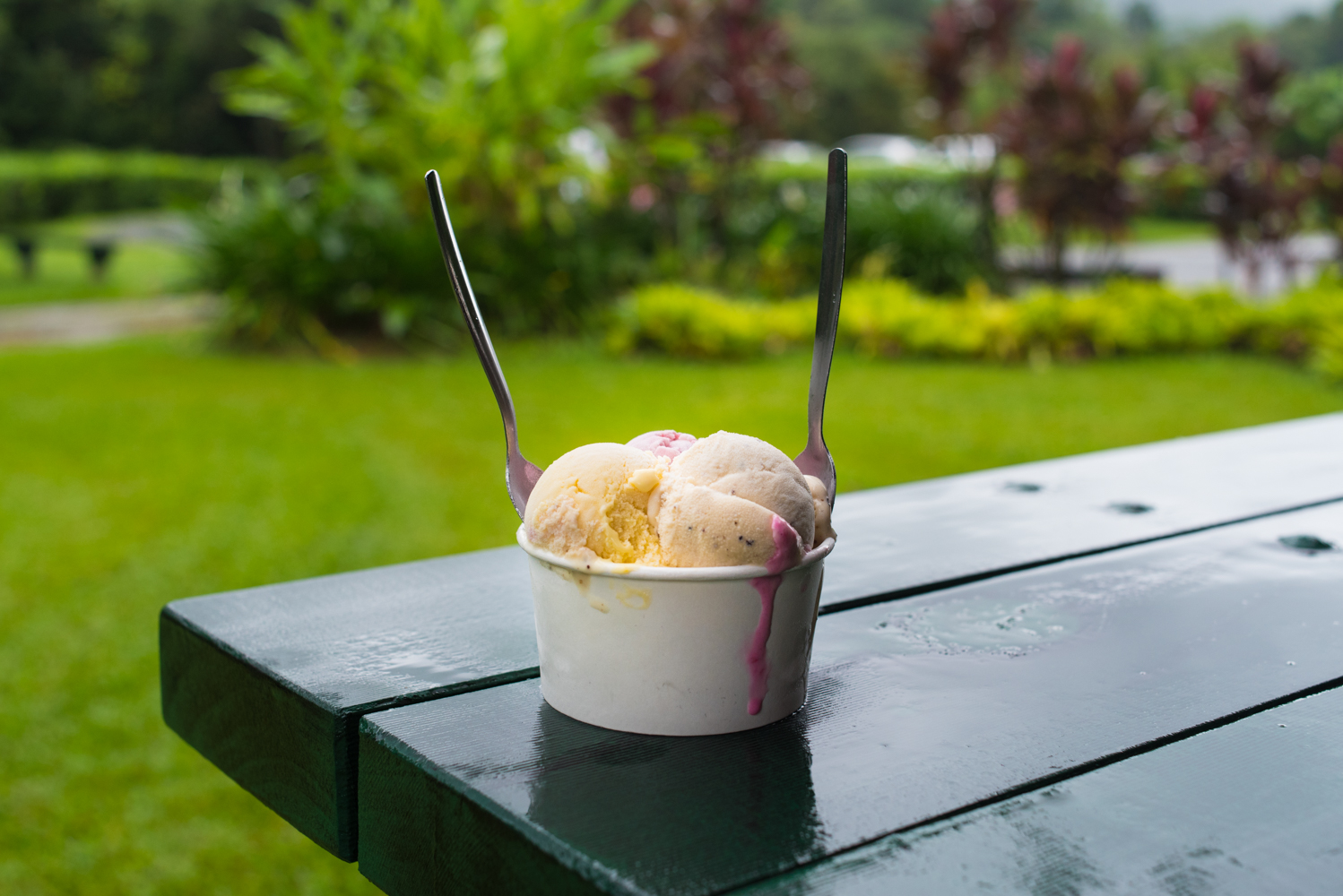 Far North Queensland Bucket List, Daintree Ice Cream Co.